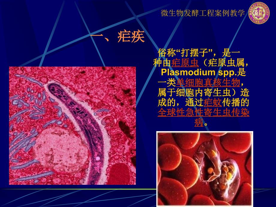 医学第五组利用基因工程酵母生产抗疟疾药物前体青蒿酸课件_第3页