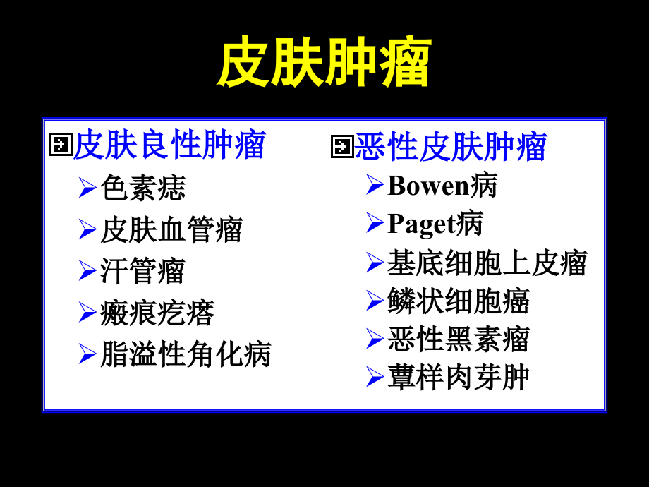 临床医学皮肤肿瘤课件_第1页