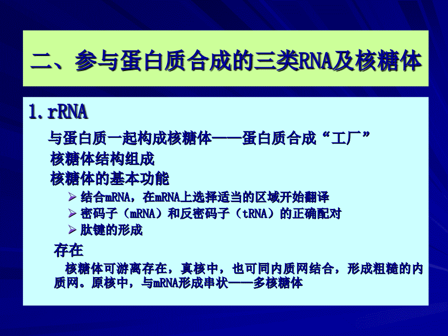 生物化学chapter21 protein synthesis ppt课件_第4页