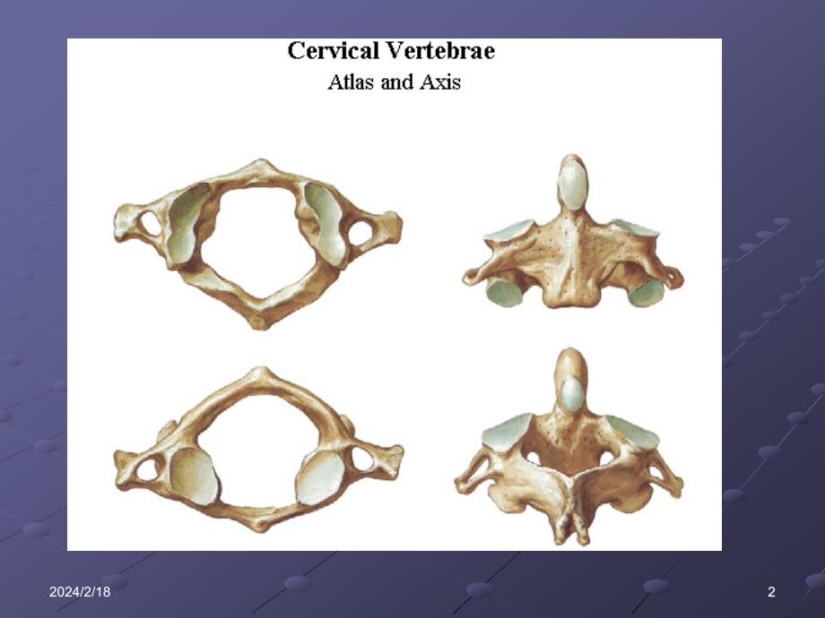 寰枢椎不稳及脱位课件_第2页