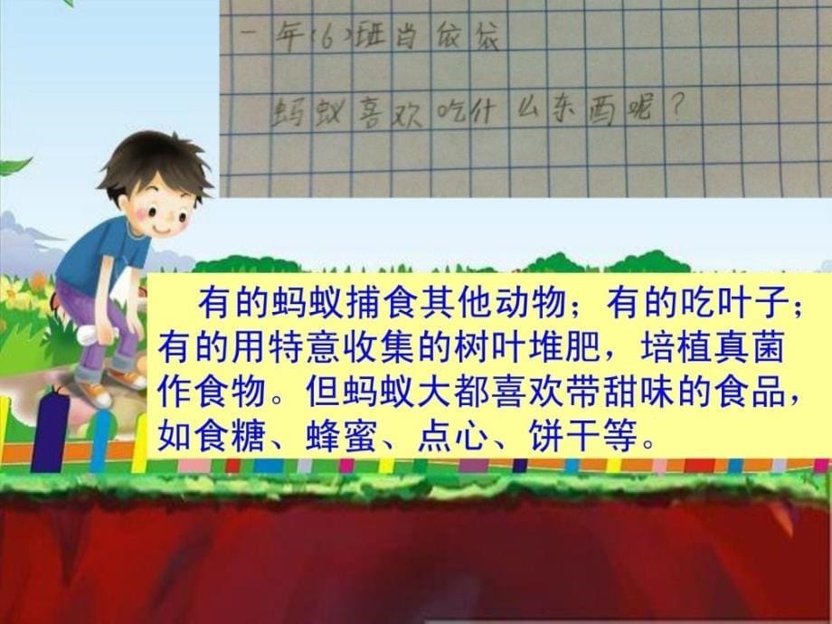 湘教版小学美术一年级下册第17课地下王国1新版ppt课件_第5页