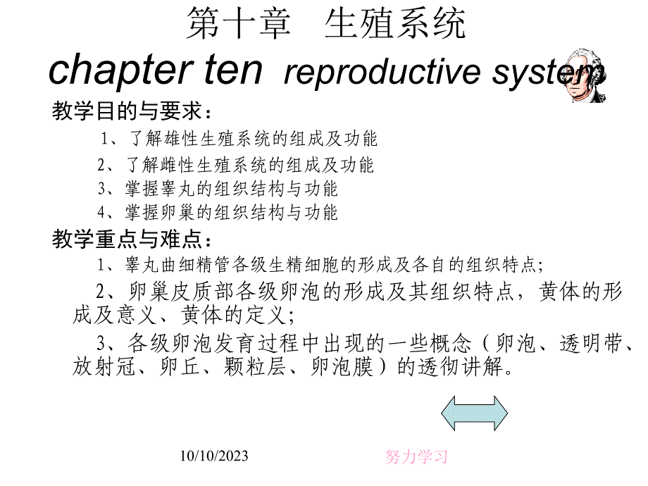 生殖系统（reproductivesystem） ppt课件_第1页