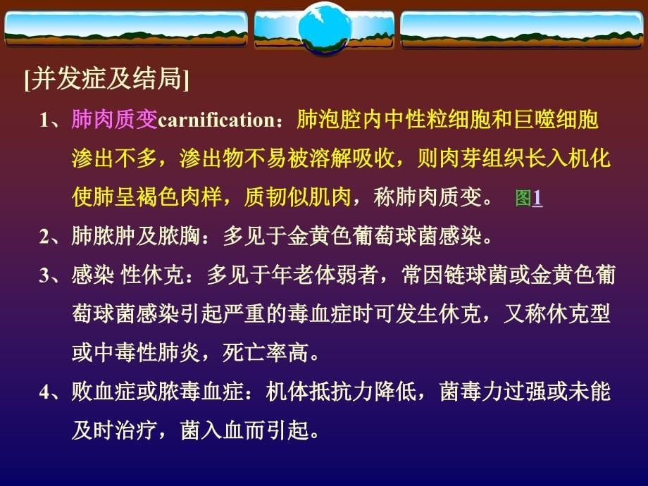 肺炎是指肺的急性渗出性炎症课件_4_第5页