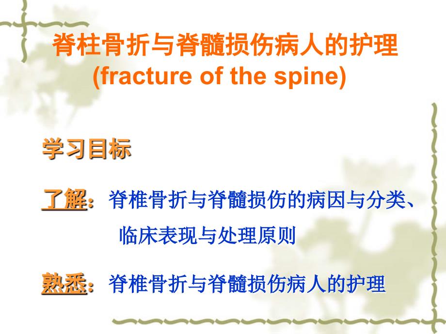 脊柱骨折与脊髓损伤病人的护理 powerpoint 演示文稿课件_第1页