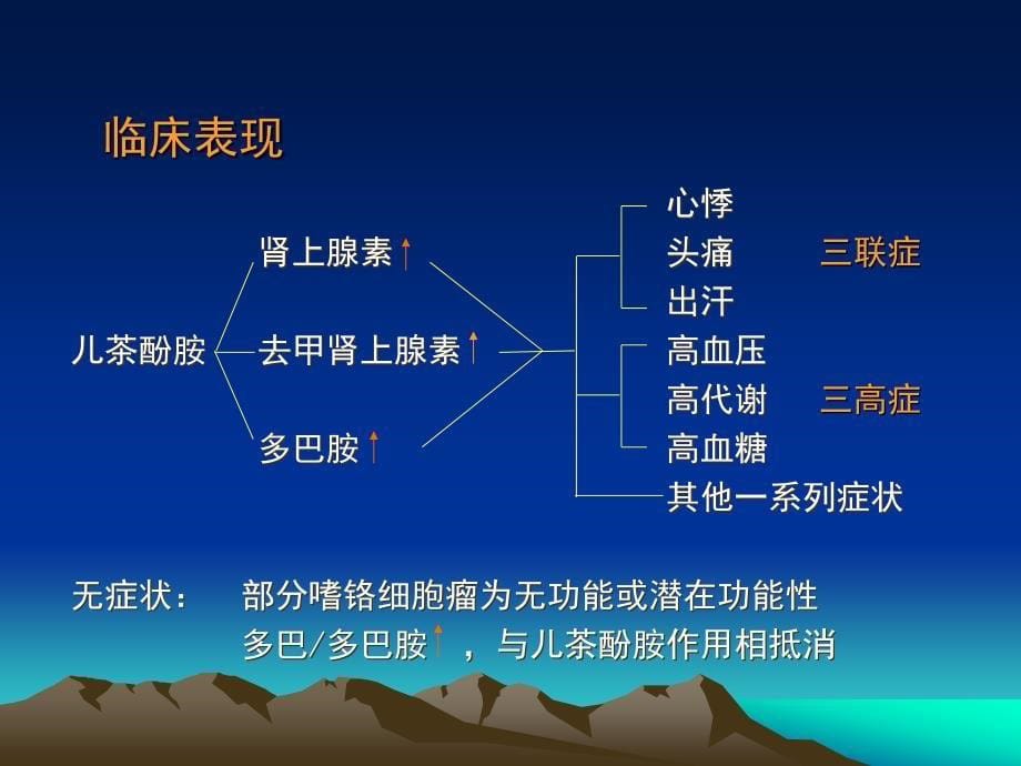 嗜铬细胞瘤课件_6_第5页