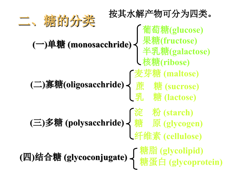 生物化学07第七章糖代谢ppt课件_第2页