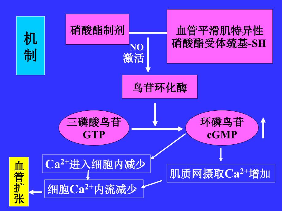 硝酸酯类药物在心力衰竭中的应用刘俊培训课件幻灯_第4页