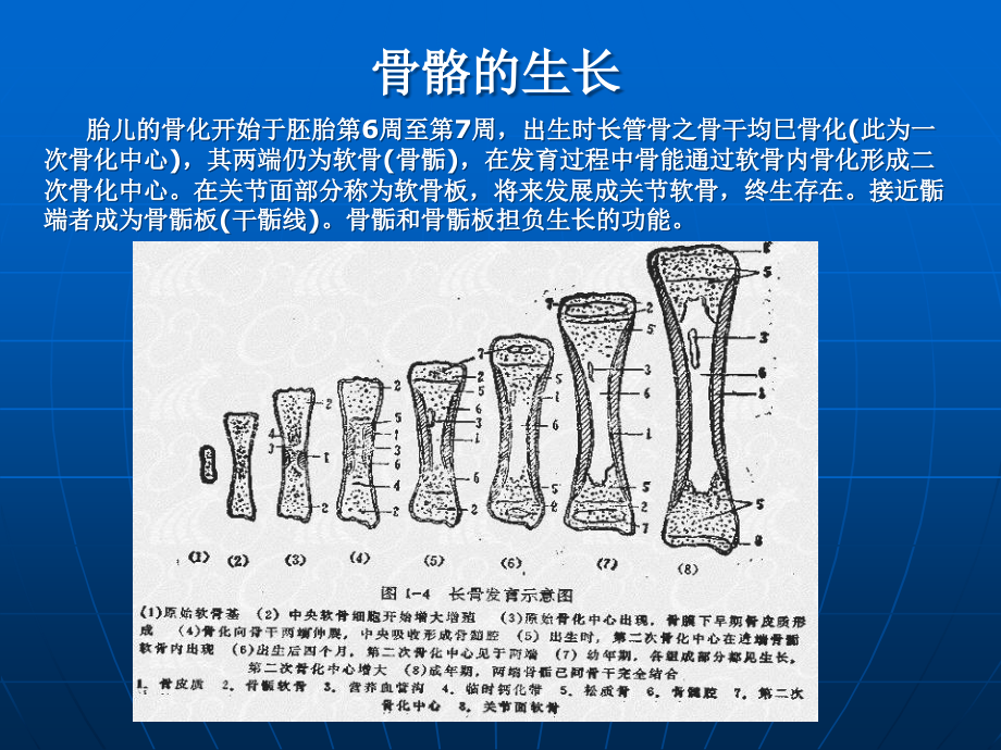 儿童骨关节损伤课件_第4页