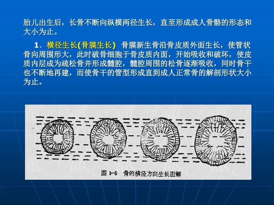 儿童骨关节损伤课件_第5页