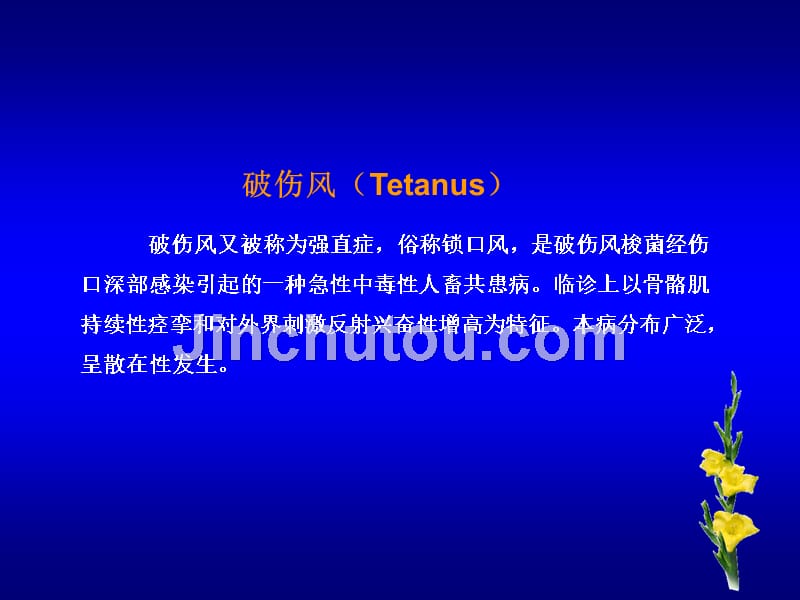 破伤风又被称为强直症俗称锁口风是破伤风梭菌经伤口精选课件_第1页