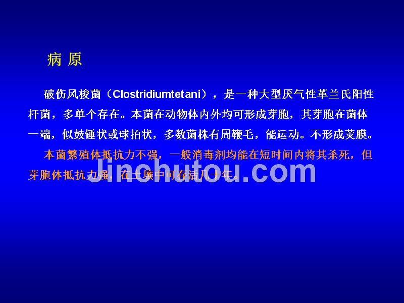 破伤风又被称为强直症俗称锁口风是破伤风梭菌经伤口精选课件_第2页