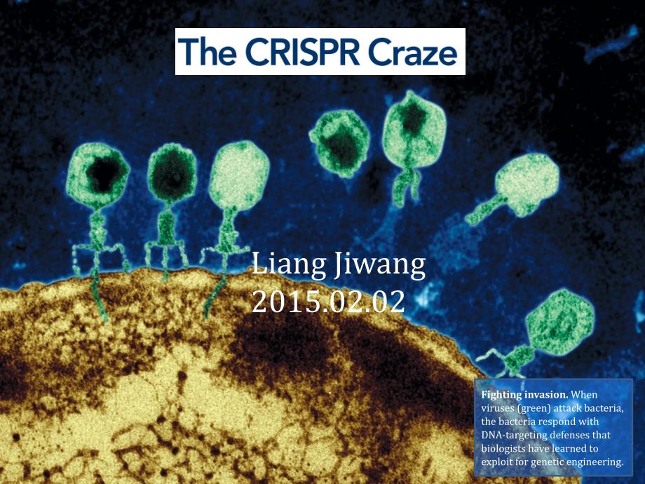 最新基因组编辑技术crisprcas systemppt课件_第1页