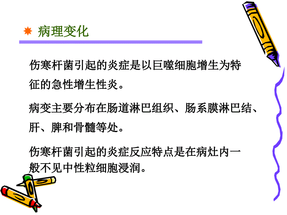 伤寒细菌性痢疾课件_第4页