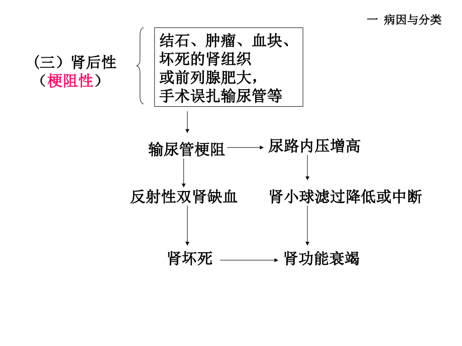 急性肾功能衰竭课件_19_第4页