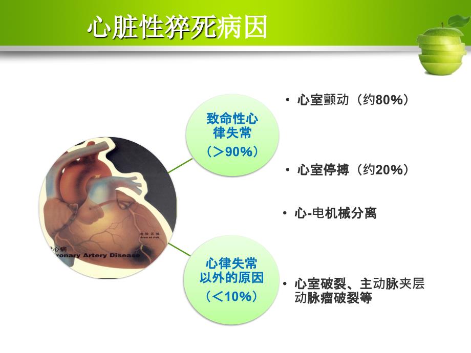 心脏性猝死和急救生命链课件_第4页