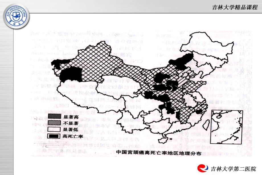 第三十章宫颈肿瘤_ppt课件_第3页