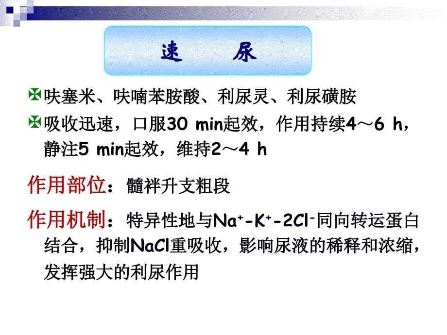 甘露醇和速尿对麻醉家兔尿量的影响课件_第5页