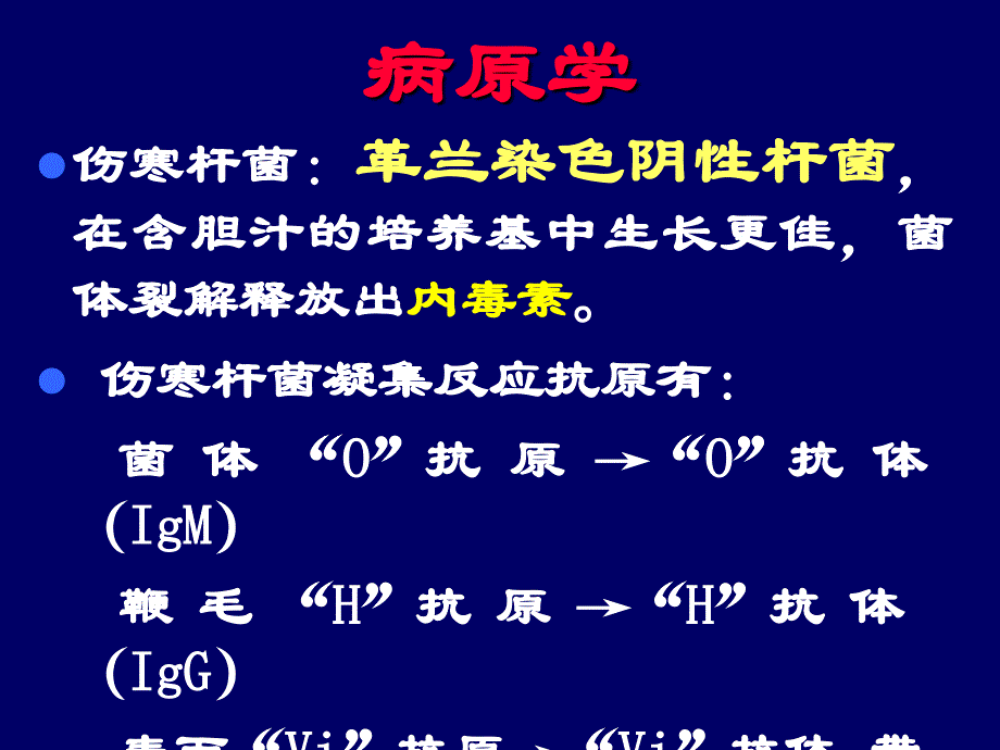 伤寒及副伤寒课件_4_第3页