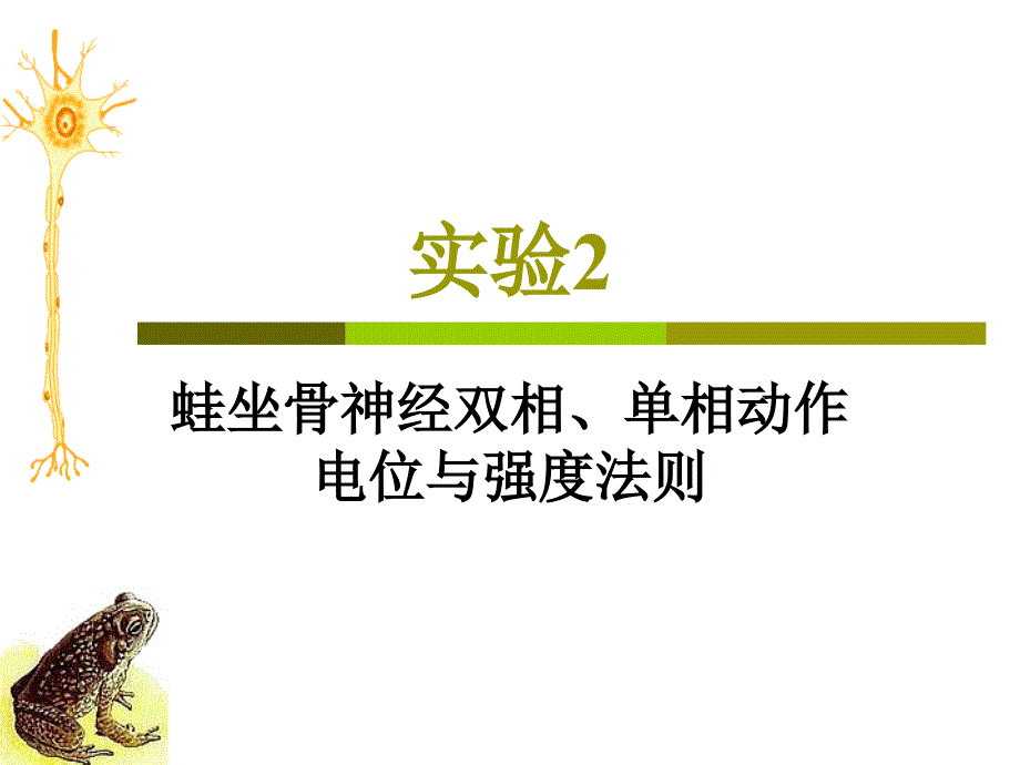 实验1 坐骨神经腓肠肌标本制备课件_第1页