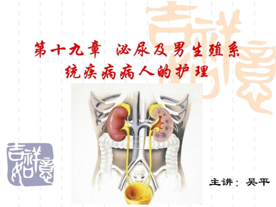 新版第十九章良性前列腺增生泌尿系肿瘤课件_第1页