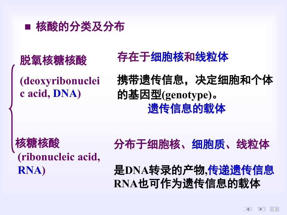 章核酸的结构与功能ppt课件_第4页