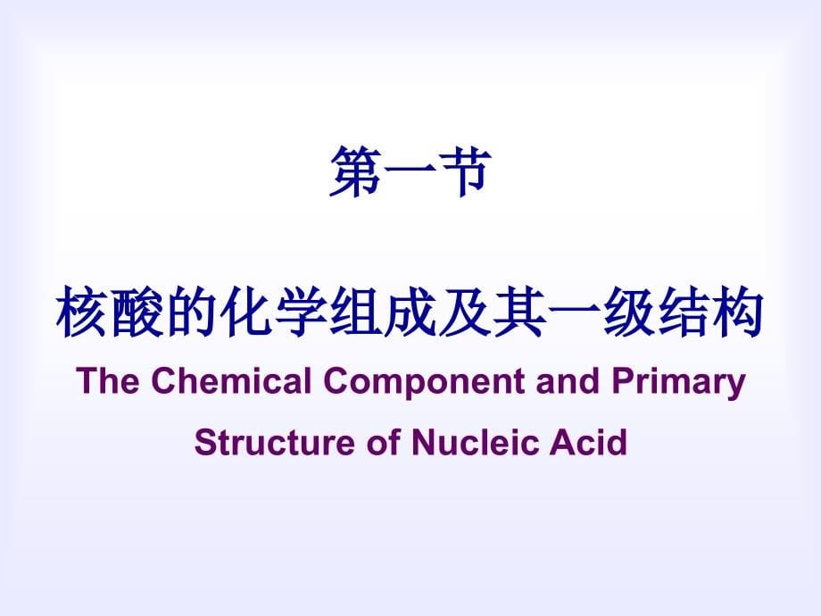 章核酸的结构与功能ppt课件_第5页