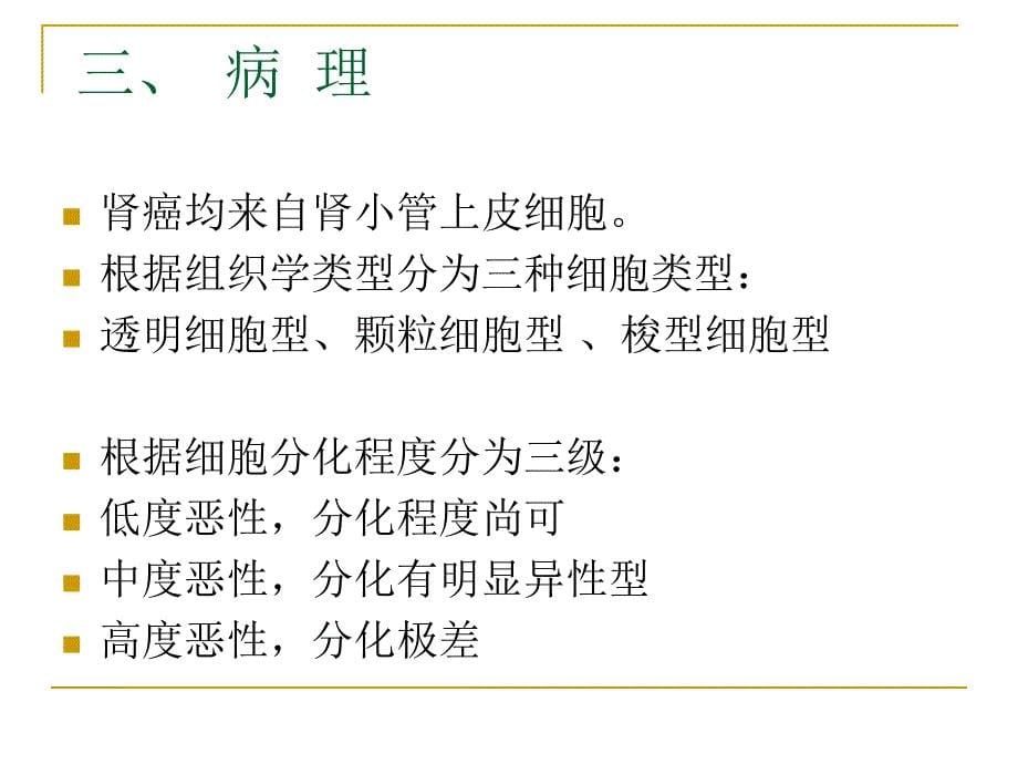 泌尿系统肿瘤病人的护理 肾肿瘤病人的护理课件_第5页