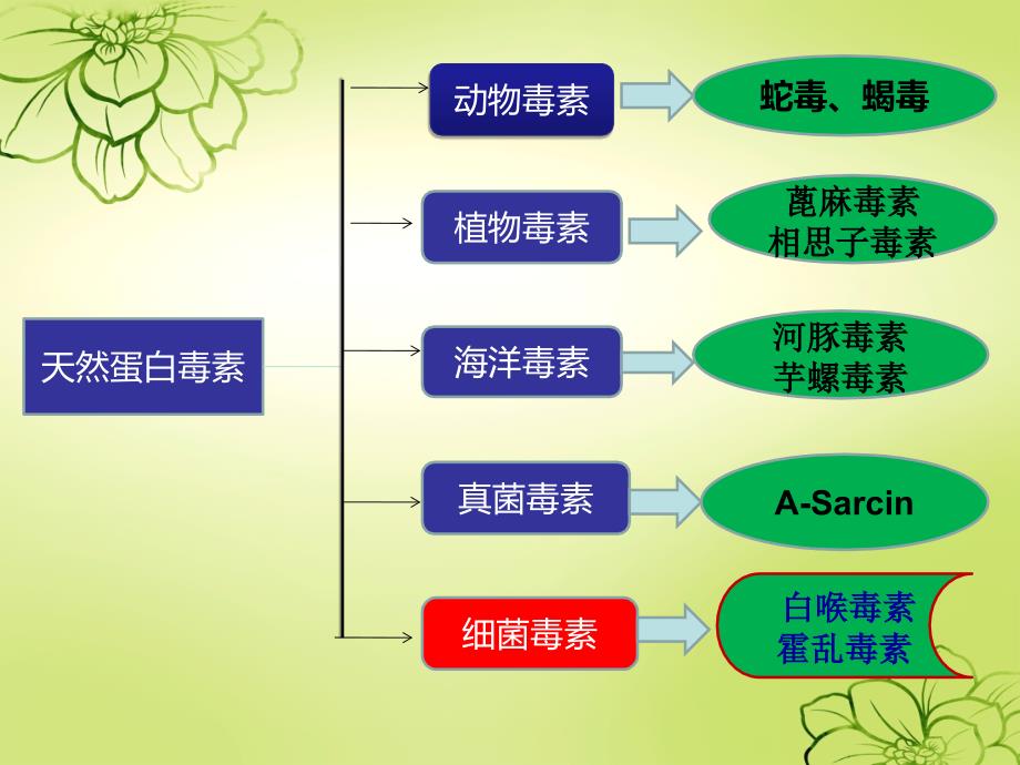 细菌蛋白毒素 ppt课件_第2页