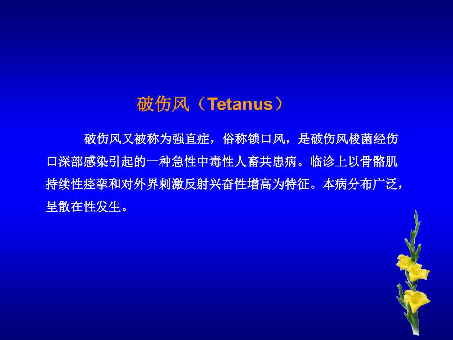 破伤风又被称为强直症俗称锁口风是破伤风梭菌经伤口精品课件_第1页