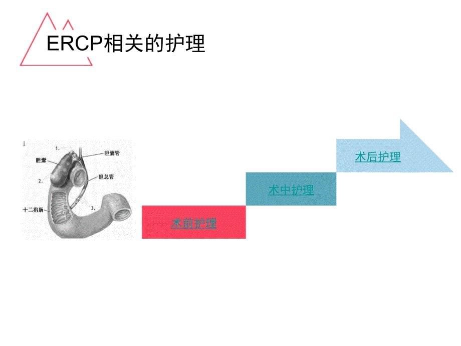 相关护理ppt课件_第5页