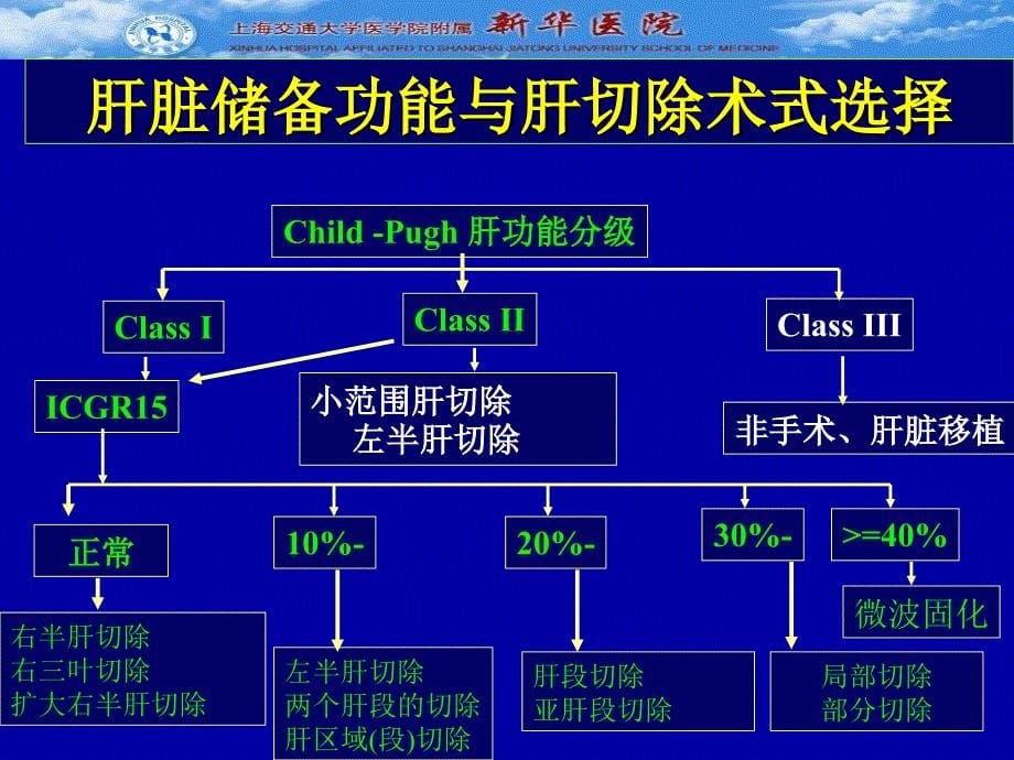 肝癌规范手术治疗ppt课件_第5页