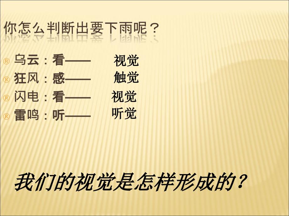 七年级生物下册第十二章第三节人体感知信息课件4（新版）苏教版_第2页