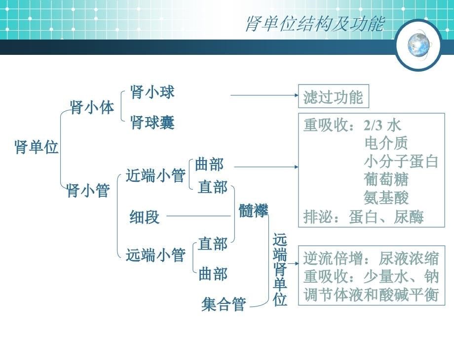 肾内科实用实验室检查ppt课件_第5页