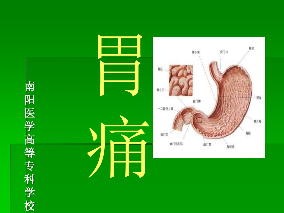 中医中药中医内科学课件第三章6胃痛_第1页