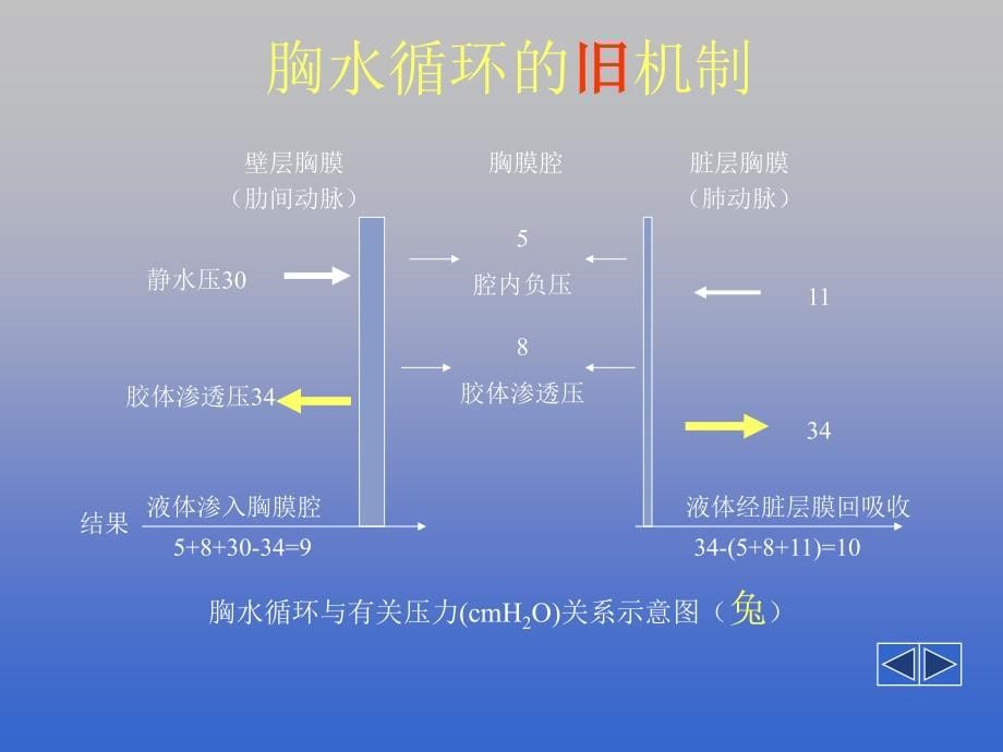 胸腔积液第六版ppt课件_第5页