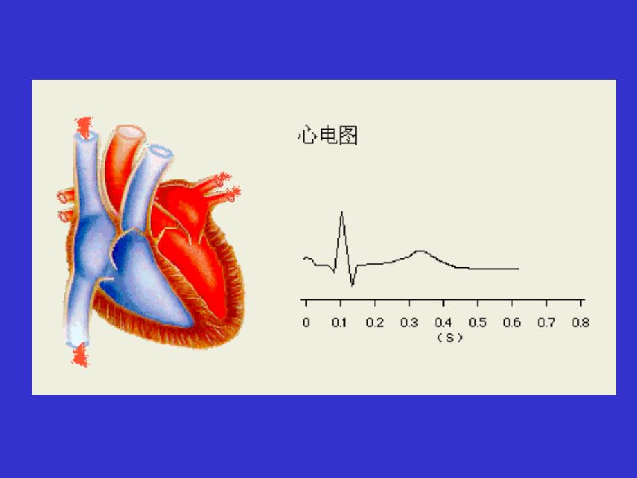 细胞（二）细胞的电活动ppt课件_第3页