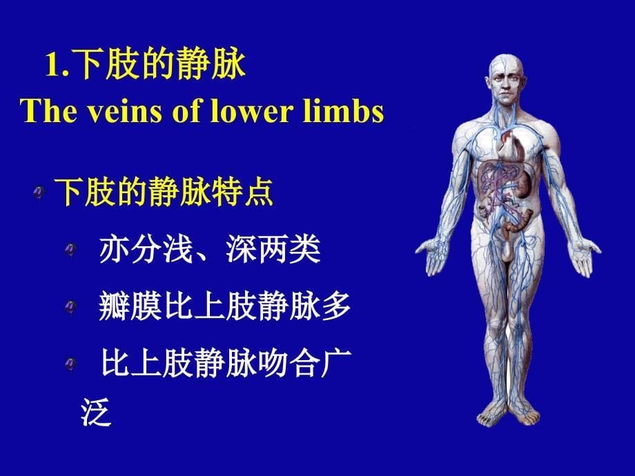 烧伤整形血管外科课件_第5页