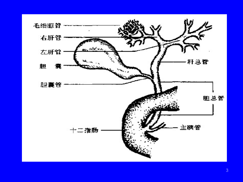 胆道疾病课件_5_第3页