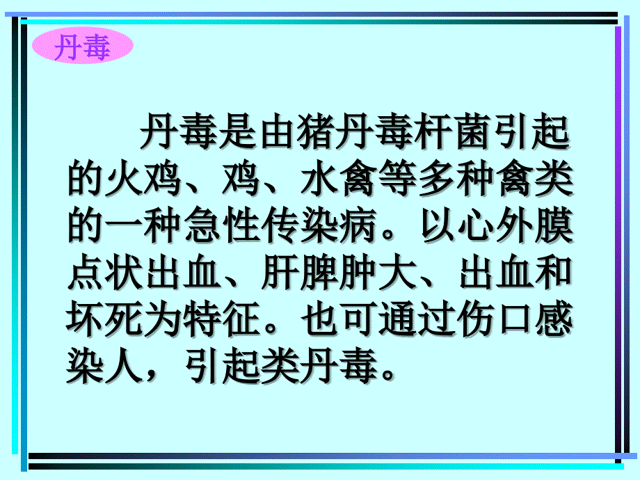 禽病学  禽病临床诊断彩色图谱  37丹毒  西南民课件_第2页