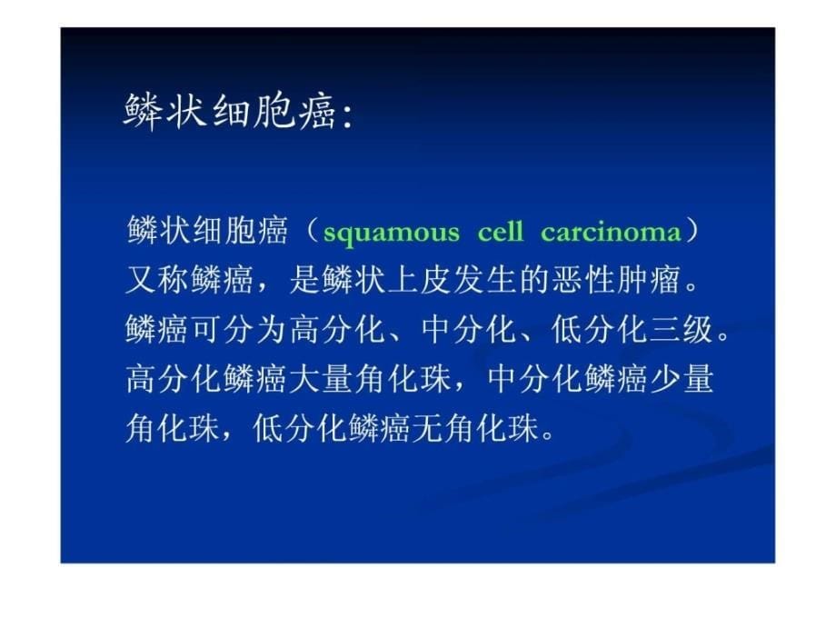 鳞状细胞癌的病理观察图文课件_第5页