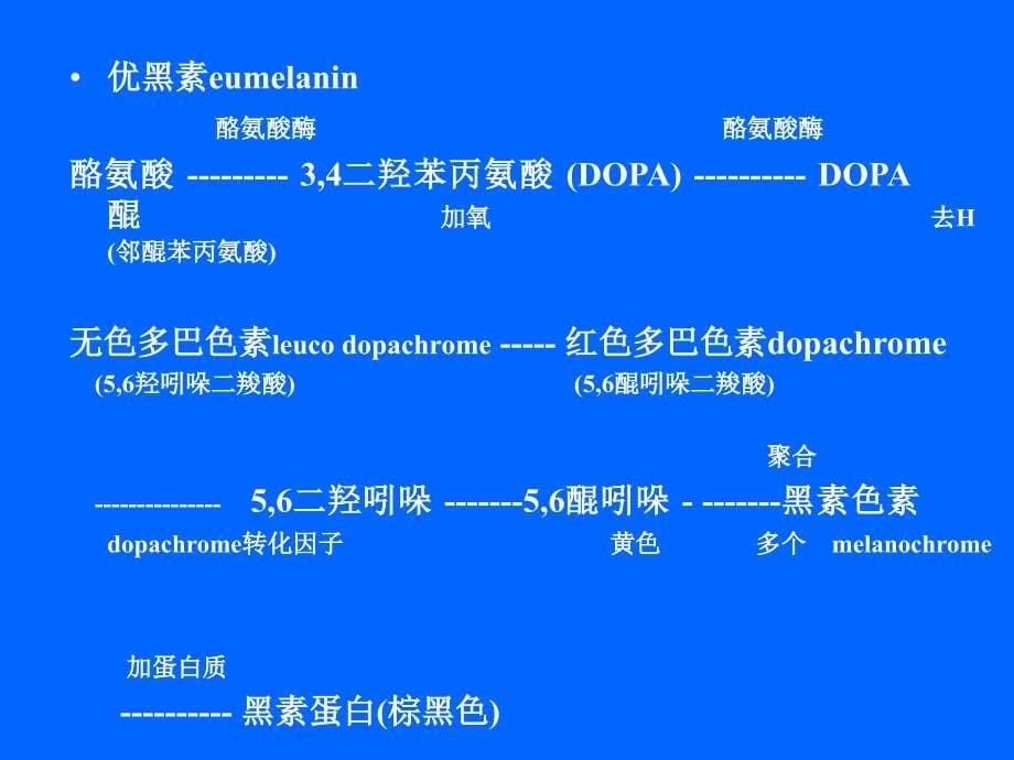 精品色素障碍性皮肤病课件_7_第5页