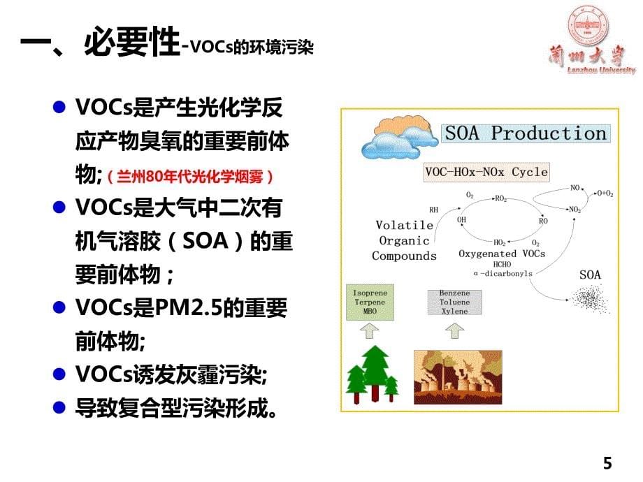 vocs污染防治技术与政策讲座---兰州大学(1)_第5页