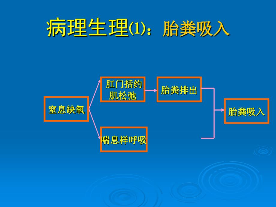 胎粪吸入综合征（精品） 课件_第4页