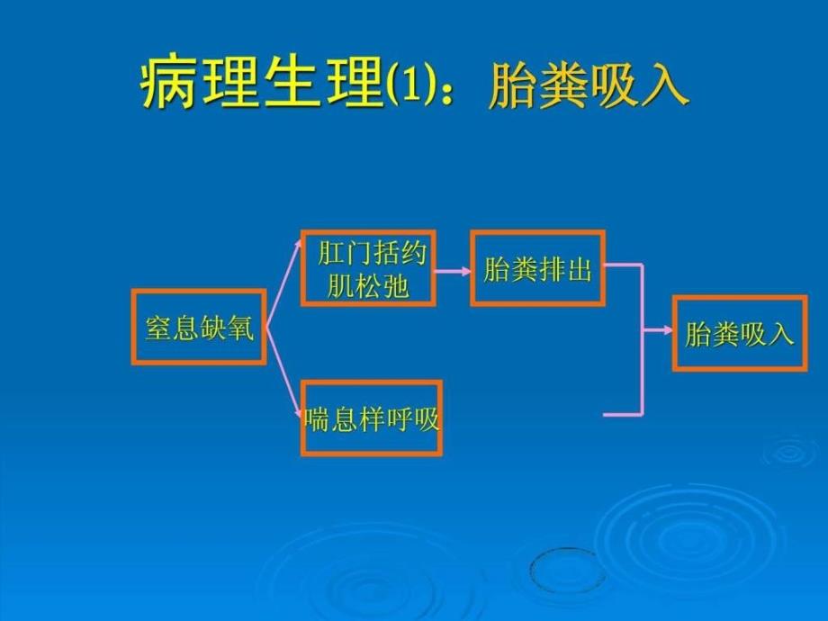 胎粪吸入综合征图文课件_第4页