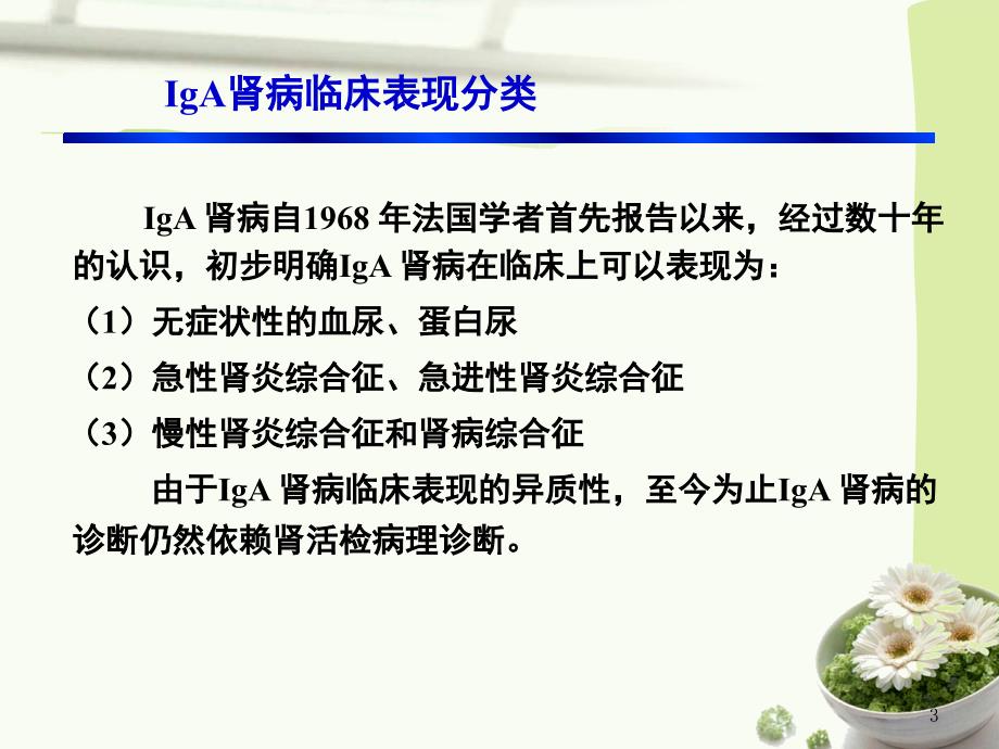 肾病中医辨证分型的实践指南课件_第3页