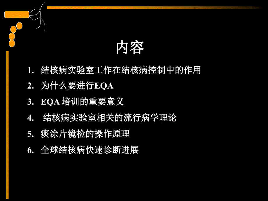 结核病实验室质量保证及快速诊断进展课件_第2页