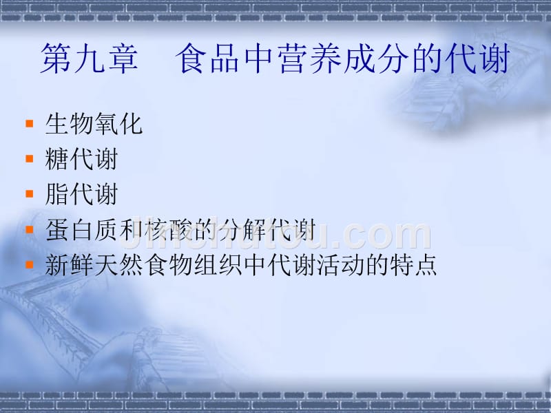 食品中营养成分的代谢课件_第1页