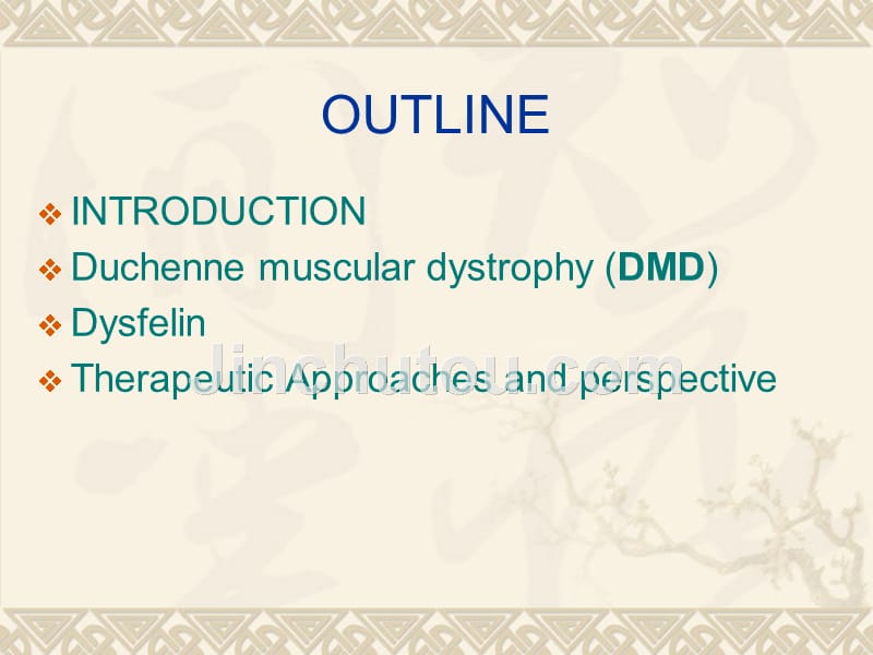 课件the molecular basis of muscular dystrophy（肌营养不良）_第2页