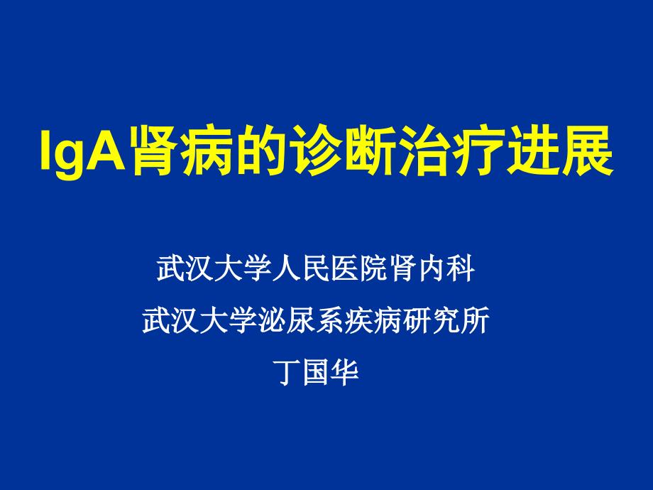 肾病诊断与治疗进展丁国华课件_第1页