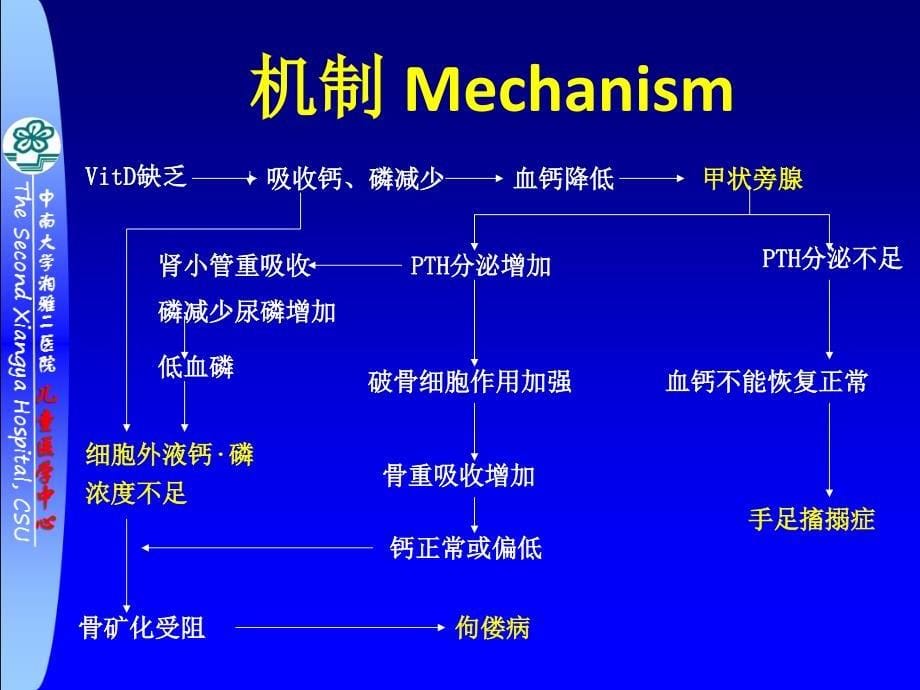 维生素d缺乏性手足搐搦症课件_6_第5页